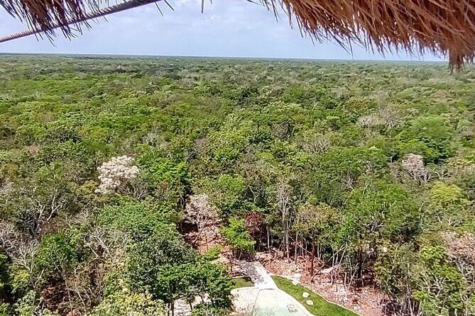 Maya Adrenaline: ATV, Ziplines & Cenote From Playa del Carmen. - Key Points