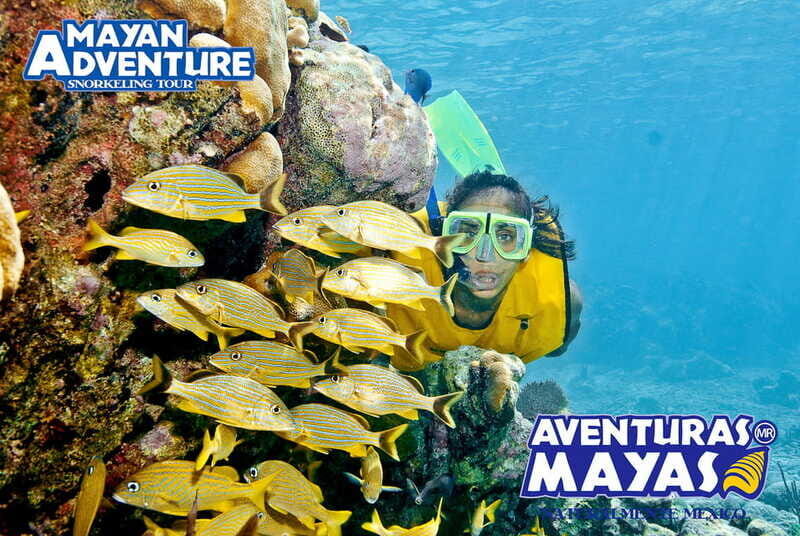 Mayan Adventure - 3 different snorkeling sites in one day! - The Value of This Experience