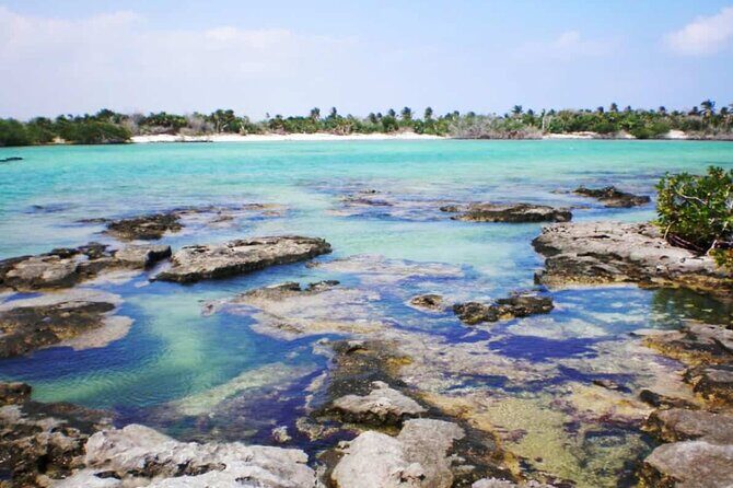 Mayan Adventure: Snorkel in Cove, Cenotes & Underground River - A Detailed Look at the Mayan Adventure Tour