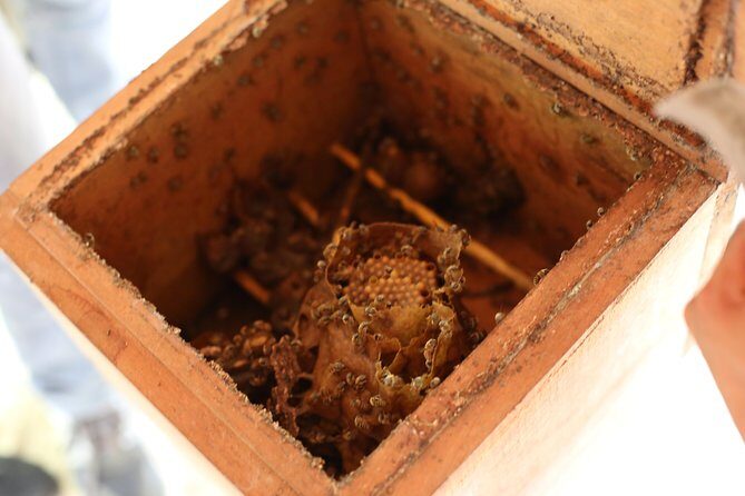 Mayan Backroads Private Bike Tour from Tulum - Who Should Consider This Tour?