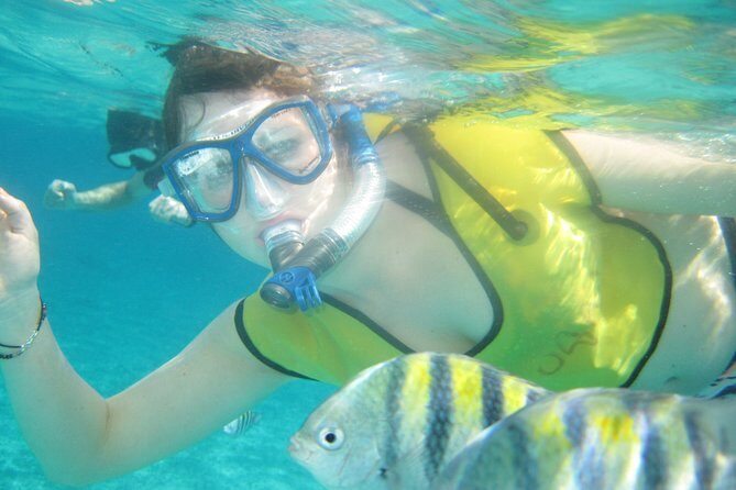 Mayan Flavors & Tequila Tasting + Beach Time - Transportation & Logistics