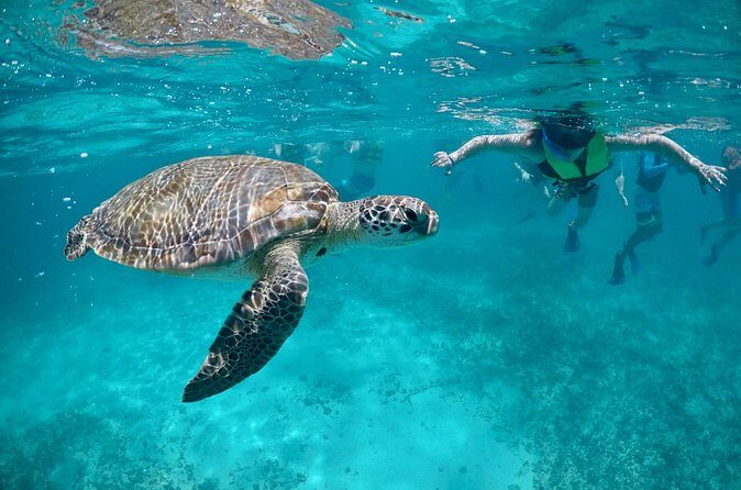 Mayan snorkeling (Akumal-Cenote-Caverna) - Who Is It Best For?