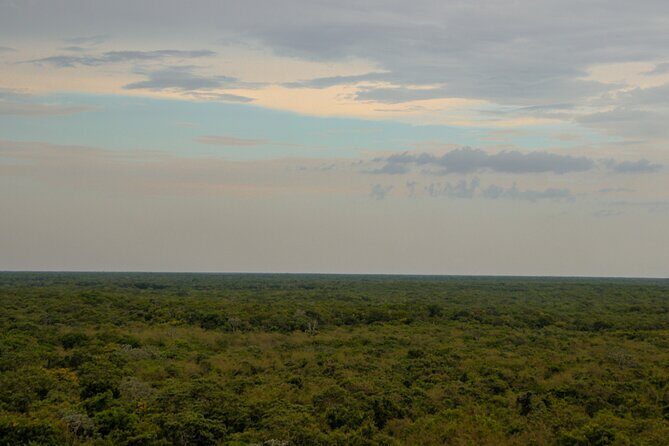 Mayan Trail: Ek Balam, Sacred Cenote and Local Food - The Flavor of Temozón: Yucatán’s Smoked Meat