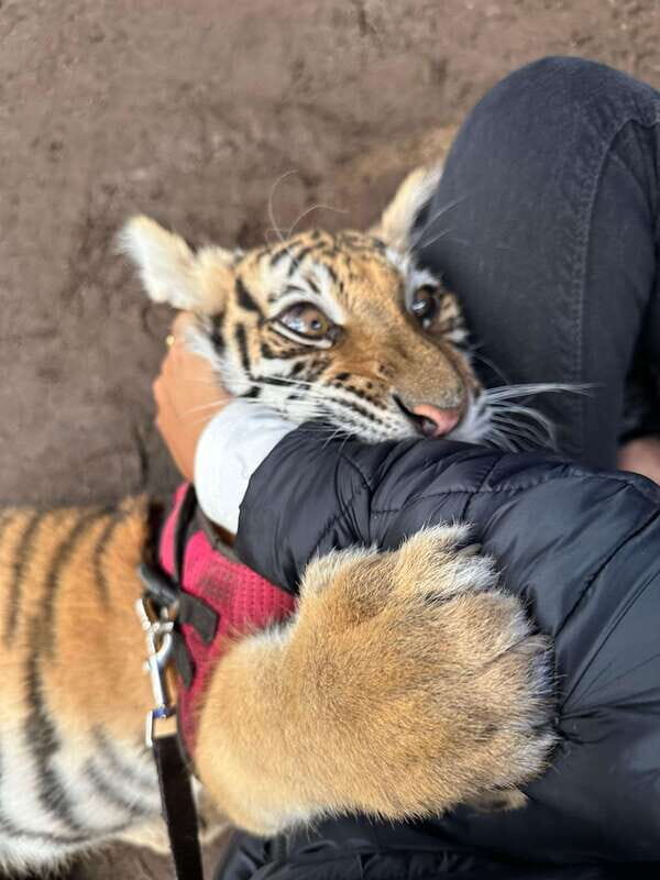 Mazamitla tour from Guadalajara visiting Mundo Aventura - Frequently Asked Questions