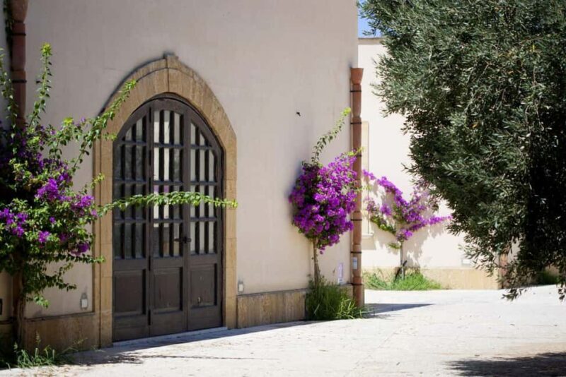 Mazara: Winery tour among the vineyards with tasting - Key Points