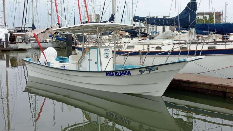 Mazatlan 3 Islands Snorkeling and Bird Watching Tour - Key Points