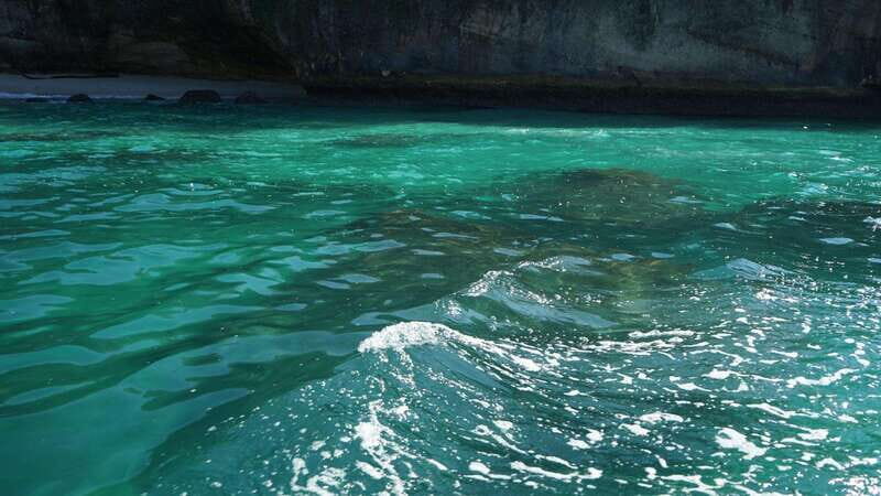 Mazatlan 3 Islands Snorkeling and Bird Watching Tour - What We Loved