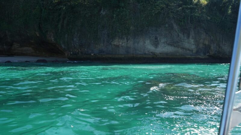 Mazatlan 3 Islands Snorkeling and Bird Watching Tour - The Not-So-Greats