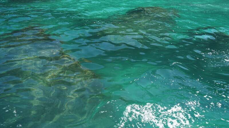 Mazatlan 3 Islands Snorkeling and Bird Watching Tour - Practical Details & Value