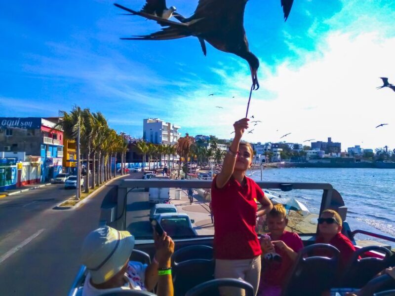 Mazatlán: Double-Decker Bus, Cliff Diving & Walking Tour - Final Thoughts