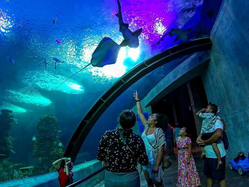 Mazatlan: Grand Aquarium Ticket and City Sightseeing Tour - Frequently Asked Questions