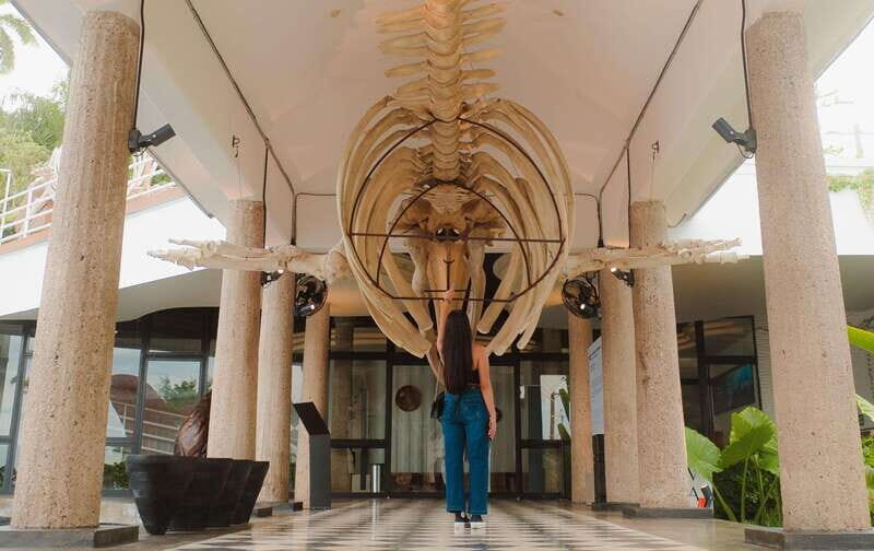 Mazatlán: MUNBA Interactive Ocean Museum Entry Ticket - Who Will Love This?