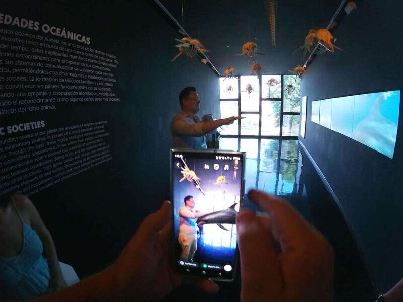 Mazatlán: MUNBA Interactive Ocean Museum Entry Ticket - Final Thoughts