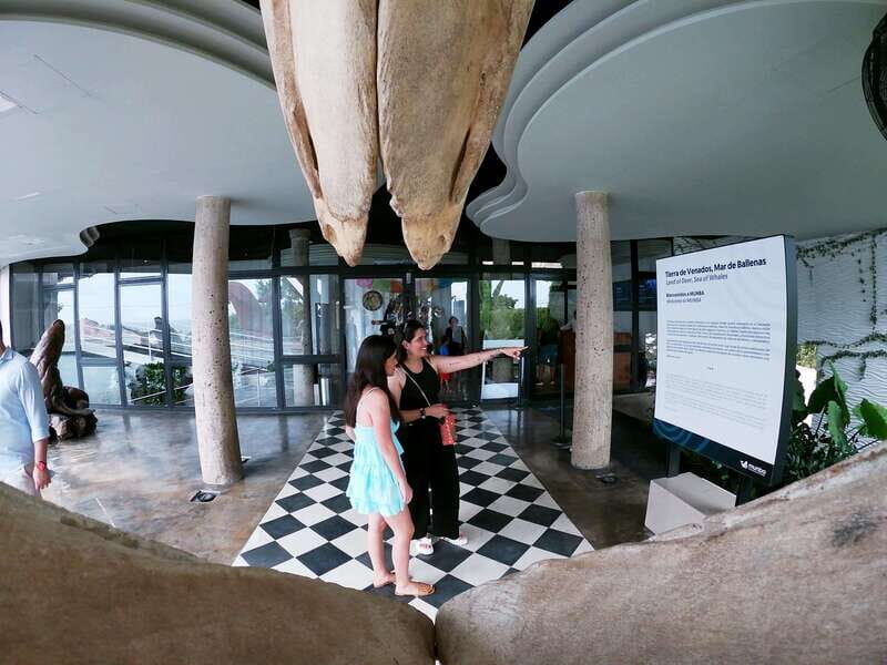 Mazatlán: Observatorio 1873 Cultural & Nature Experience - FAQ