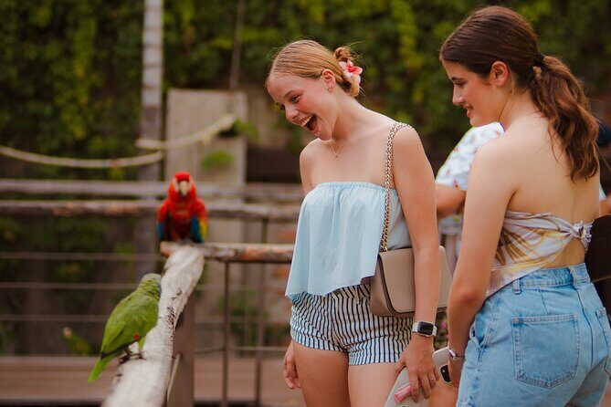 Mazatlan Observatorio 1873 Ticket and Pass - Who Will Love This Experience?