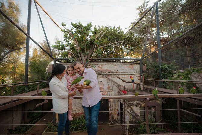 Mazatlan Observatorio 1873 Ticket and Pass - Final Thoughts