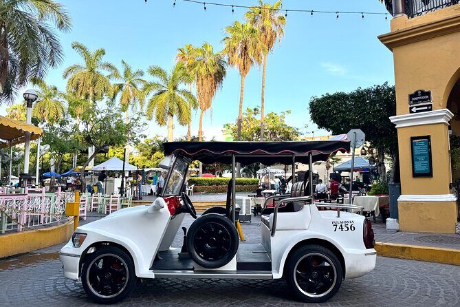 Mazatlan Pulmonia Experience - Final Thoughts