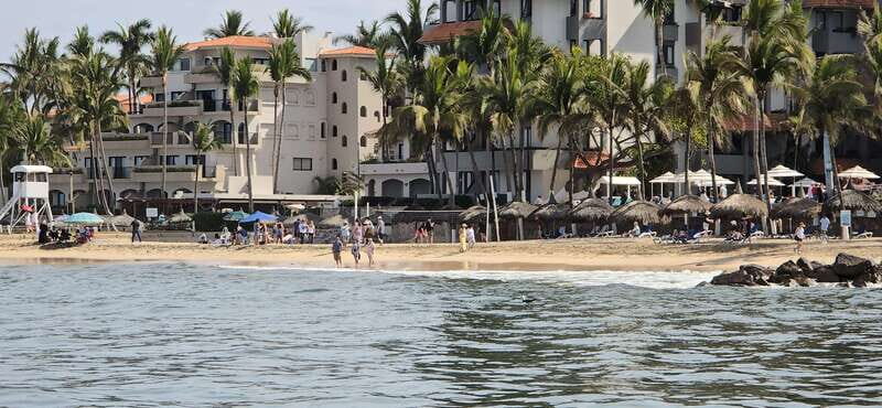 Mazatlan: Sea lions and snorkeling - What to Expect from the Tour