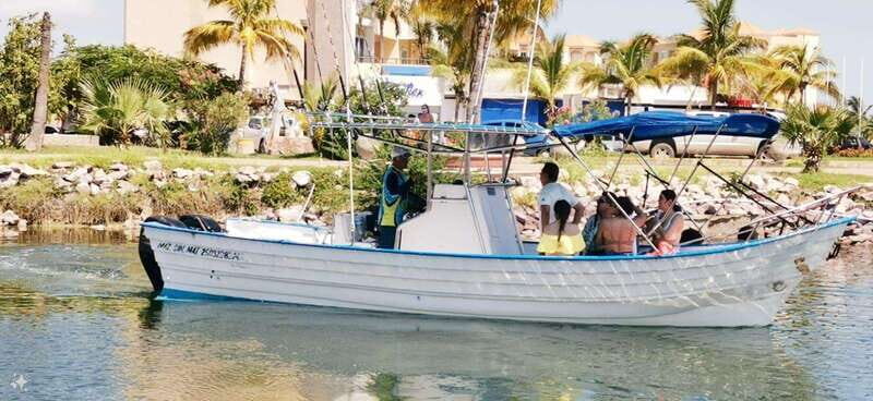 Mazatlan: Sea lions and snorkeling - The Experience from a Traveler’s Perspective