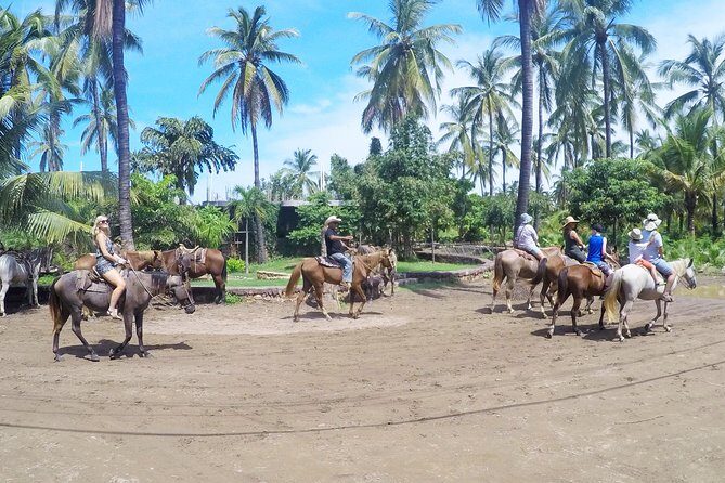 Mazatlan Sightseeing with Lunch and 2 Activities For up to 8 Passengers - What the Reviews Say