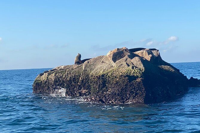 Mazatlan Sport Fishing Adventure - FAQs