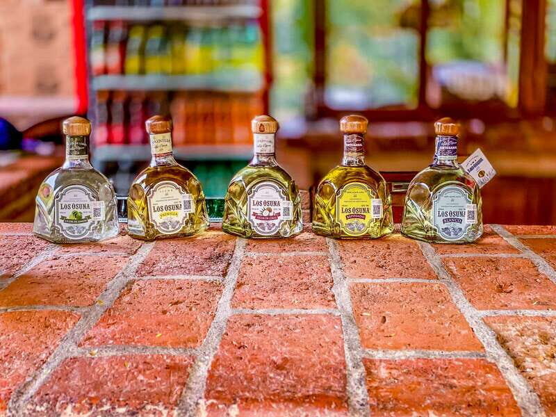 Mazatlán: Tequila Factory & Country Sightseeing - Key Points