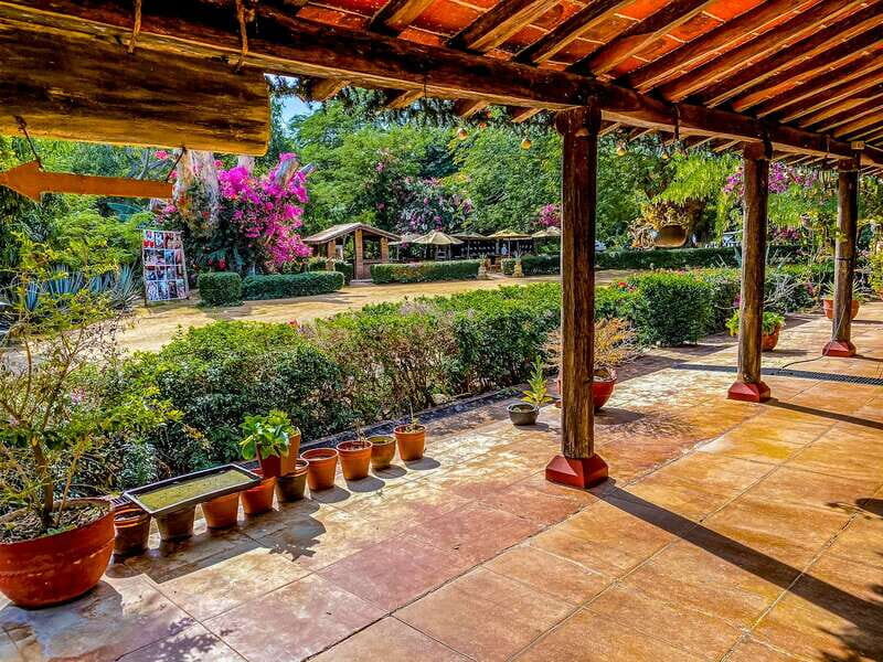 Mazatlán: Tequila Factory & Country Sightseeing - The Itinerary Breakdown