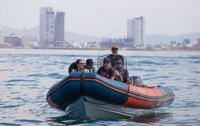Mazatlán: Whale-Watching Boat Tour with Marine Experts - The Logistics and Practicalities
