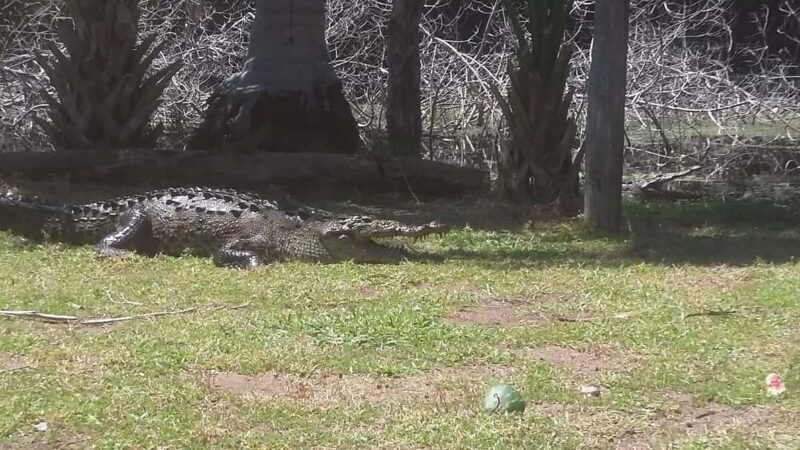 Mazunte-Ventanilla and Zipolite Ecotour - Who Will Love This Tour?