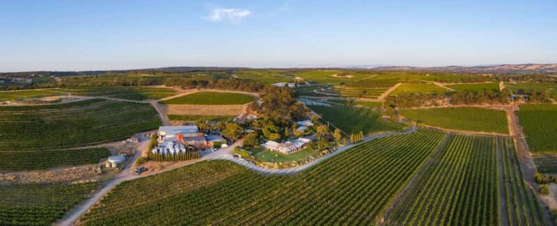 McLaren Vale North: Hop-On Hop-Off Tour - An Honest Look at the McLaren Vale North Hop-On Hop-Off Tour