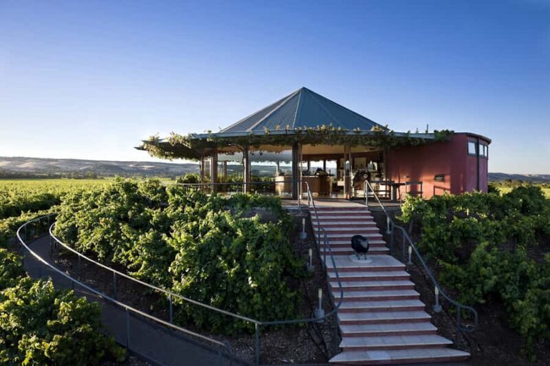 McLaren Vale North: Hop-On Hop-Off Tour - Final Thoughts