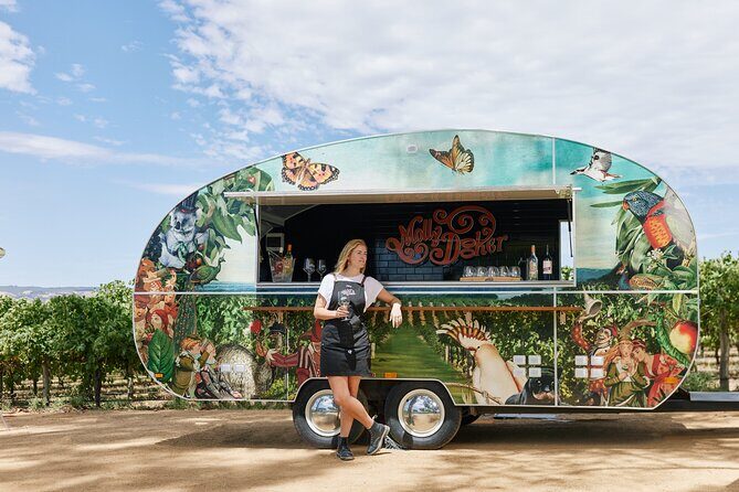 McLaren Vale North Hop-On Hop-Off Wine Tour - The Overall Experience