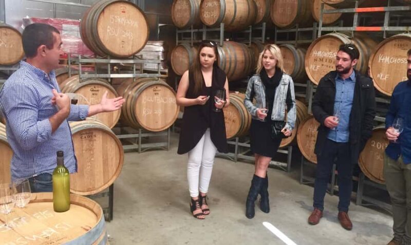 McLaren Vale: Small Group Wine Tour (Includes Lunch) - Discovering McLaren Vale in Style and Comfort