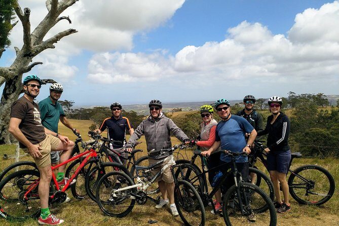 McLaren Vale Wine Tour by Bike - The Practical Details