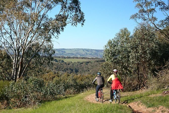 McLaren Vale Wine Tour by Bike - The Sum Up: Is This Tour Right for You?