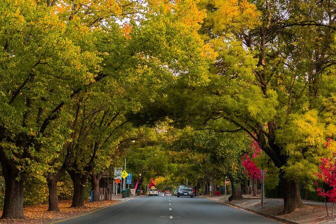 McLaren Vale Winery Small Group Tour with Wine Tasting and Lunch - FAQs About the McLaren Vale Winery Small Group Tour