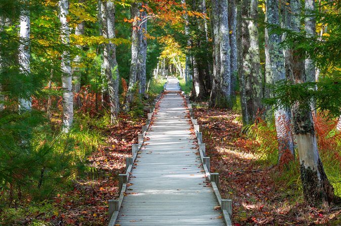 MDI Private Discovery Tour - Explore Beyond Acadia (five hours) - Frequently Asked Questions
