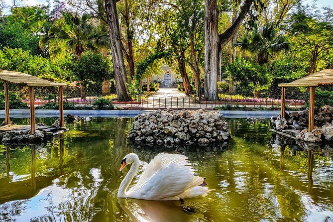 Mdina and Highlights of Malta Full Day Guided Tour Incl. Lunch and Transfers - What Travelers Say: Honest Perspectives