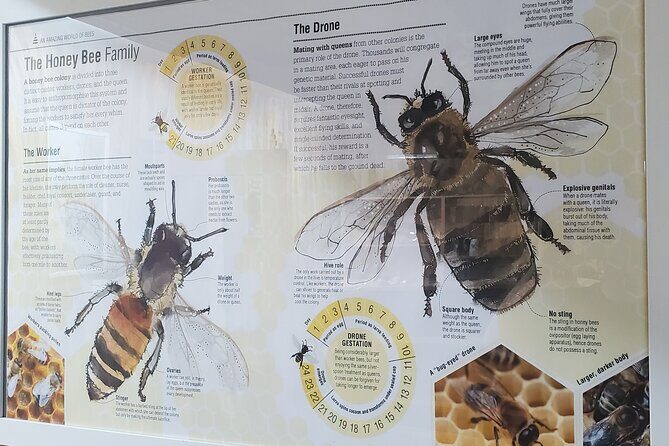 Mead and Honey Tasting Experience - Final Thoughts