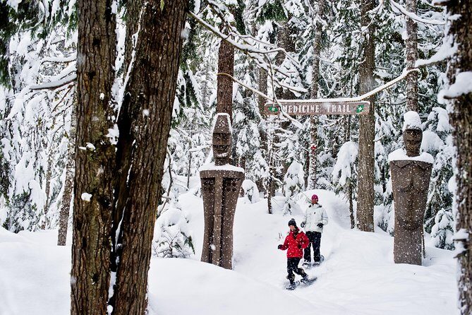 Medicine Trail Snowshoe Tour - What Is the Medicine Trail Snowshoe Tour?