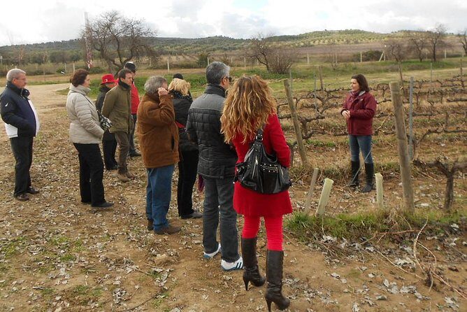 Medieval Castles, Wineries Experience with Tasting from Madrid - Final Thoughts