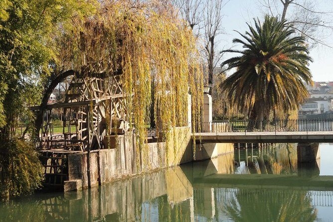 Medieval Knights Templar and Alcobaça Private Day Trip from Lisbon - Why You Might Love This Tour