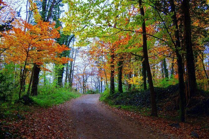 Medieval Villages & La Garrotxa Volcanic Zone Hiking. Small Group Tour - FAQ