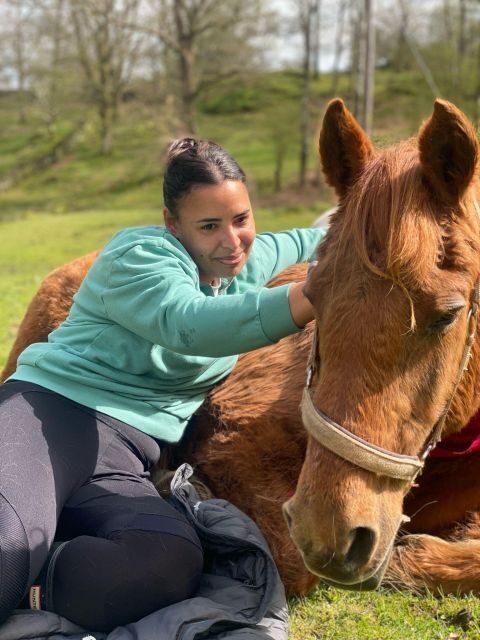 Meditate With Horses - What Is Meditate With Horses All About?