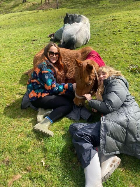 Meditate With Horses - What’s Included and What’s Not