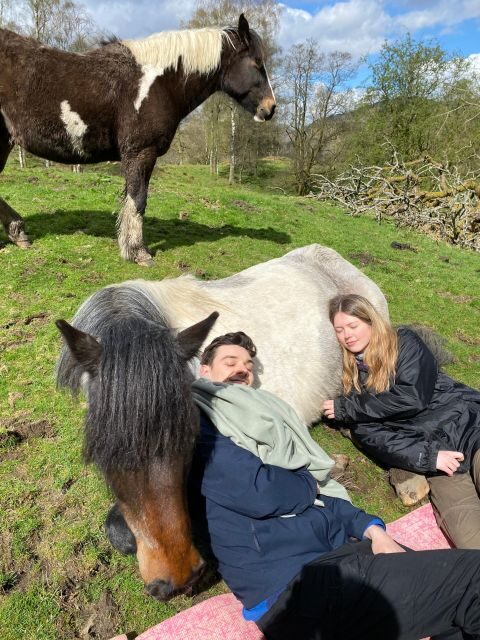 Meditate With Horses - The Value: Is It Worth It?