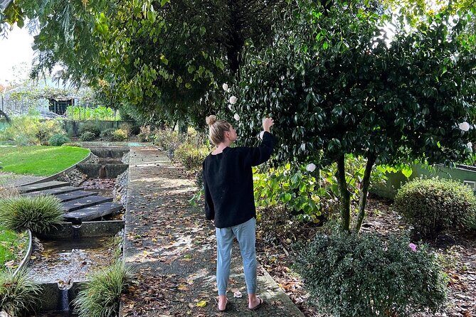 Meditation Experience at a Lovely Farm in Porto - The Setting: Why It Matters