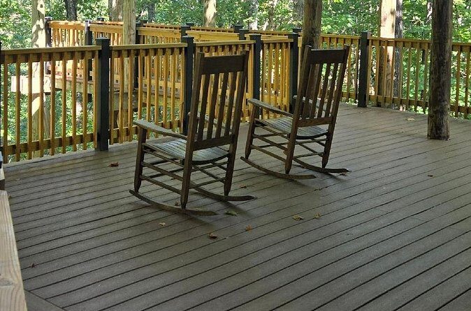 Meditative, Forest Bathing Hike followed by Yoga on the Deck - Who Should Consider This Tour?