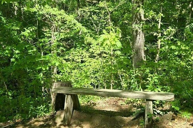 Meditative, Forest Bathing Hike followed by Yoga on the Deck - FAQ