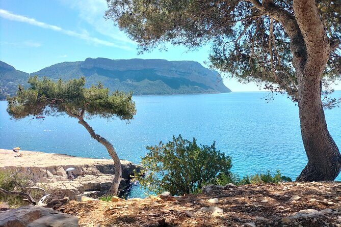 Mediterranean Dream : Cassis, Calanques Boat Ride & Appetizer - What Makes This Tour Stand Out?